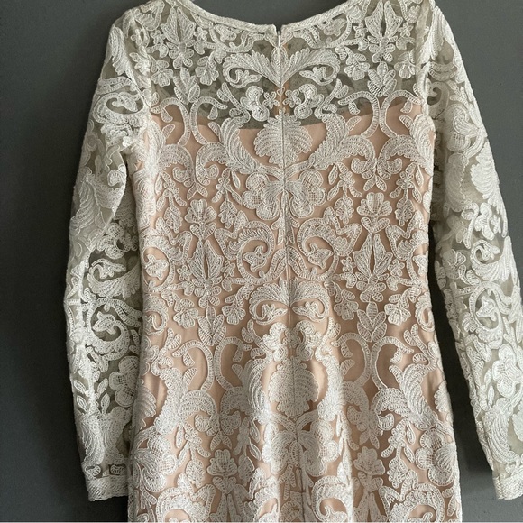 Tadashi Shoji Lace Overlay Gown - Picture 4 of 9